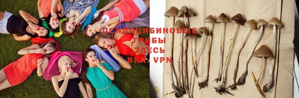 винт Армянск