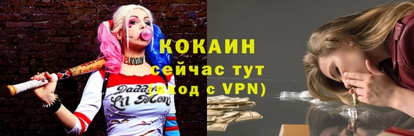 соль ск Алексеевка