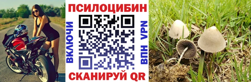как найти наркотики  Обоянь  Псилоцибиновые грибы Magic Shrooms 